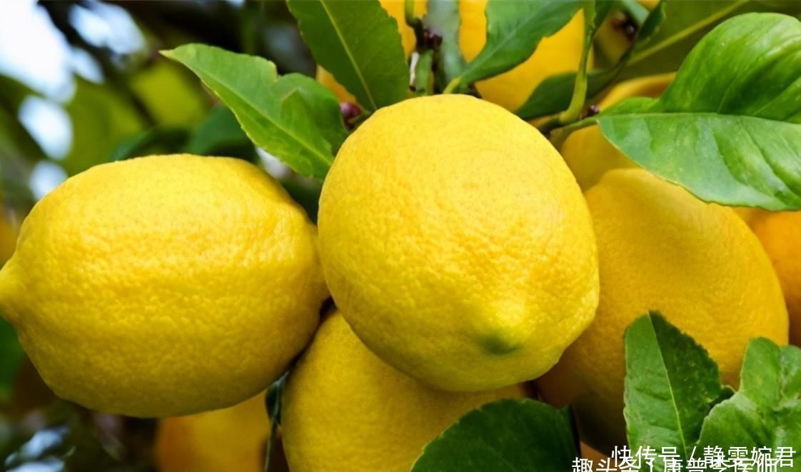 延缓衰老|女性不想肌肤变差,一定要会吃,美白肌肤,延缓衰老,滋润皮肤