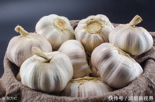 肠黄|老兽医60种常见中草药“一药一功效”汇总，建议养鸡人看看