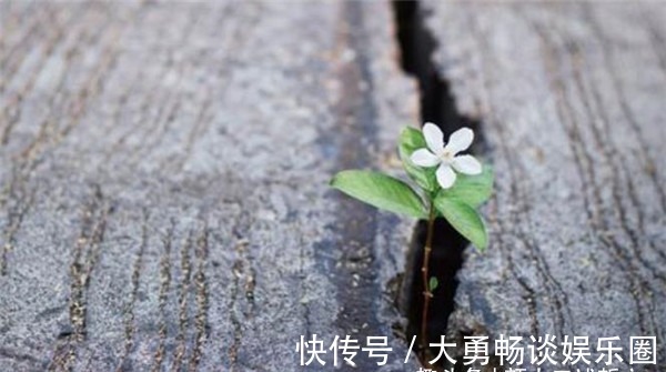 颜小二|道家“祸福相依”的通透智慧:没有绝对逆与顺,只有不一样的视角