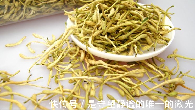 菊花|“3种”花泡水喝最养胃!还能清热解毒去除油脂,早了解早受益!