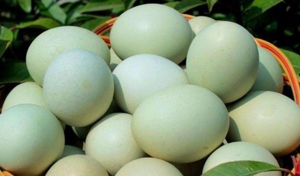 化学物质|鸡蛋好处千千万,当心吃错会完蛋,有4个误区要避开,早知早好!