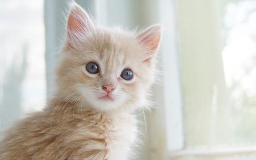 |幽默段子:小姑子自从和富二代男友分手之后,情绪一直不是很好