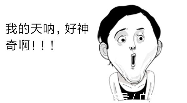 蠢事|减肥的蠢事你做过多少件?