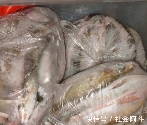 表哥|鱼肉保鲜，到底要不要去内脏？教你正确方法，吃着跟活鱼一样新鲜