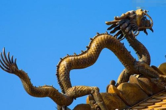 物种|公元920年,辽太祖耶律阿保机射死的那条“龙”,到底是什么物种?