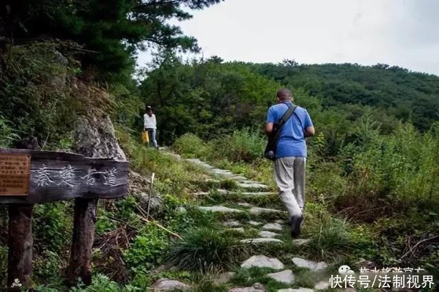 柞水|初夏时节，来柞水感受葱葱绿意~