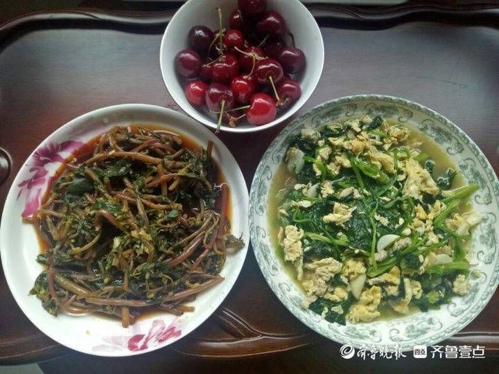 马齿笕|壹粉食堂｜夏日限定！凉拌马齿笕，清凉又解暑，新手也能轻松搞定