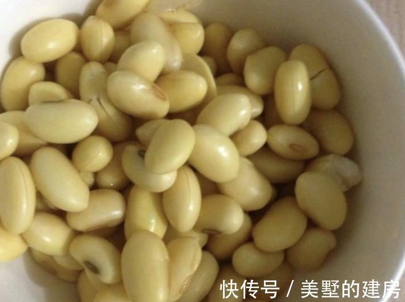虫害性|入秋后天渐凉,养多肉用这3种“特效水”,叶子越发透亮肥美