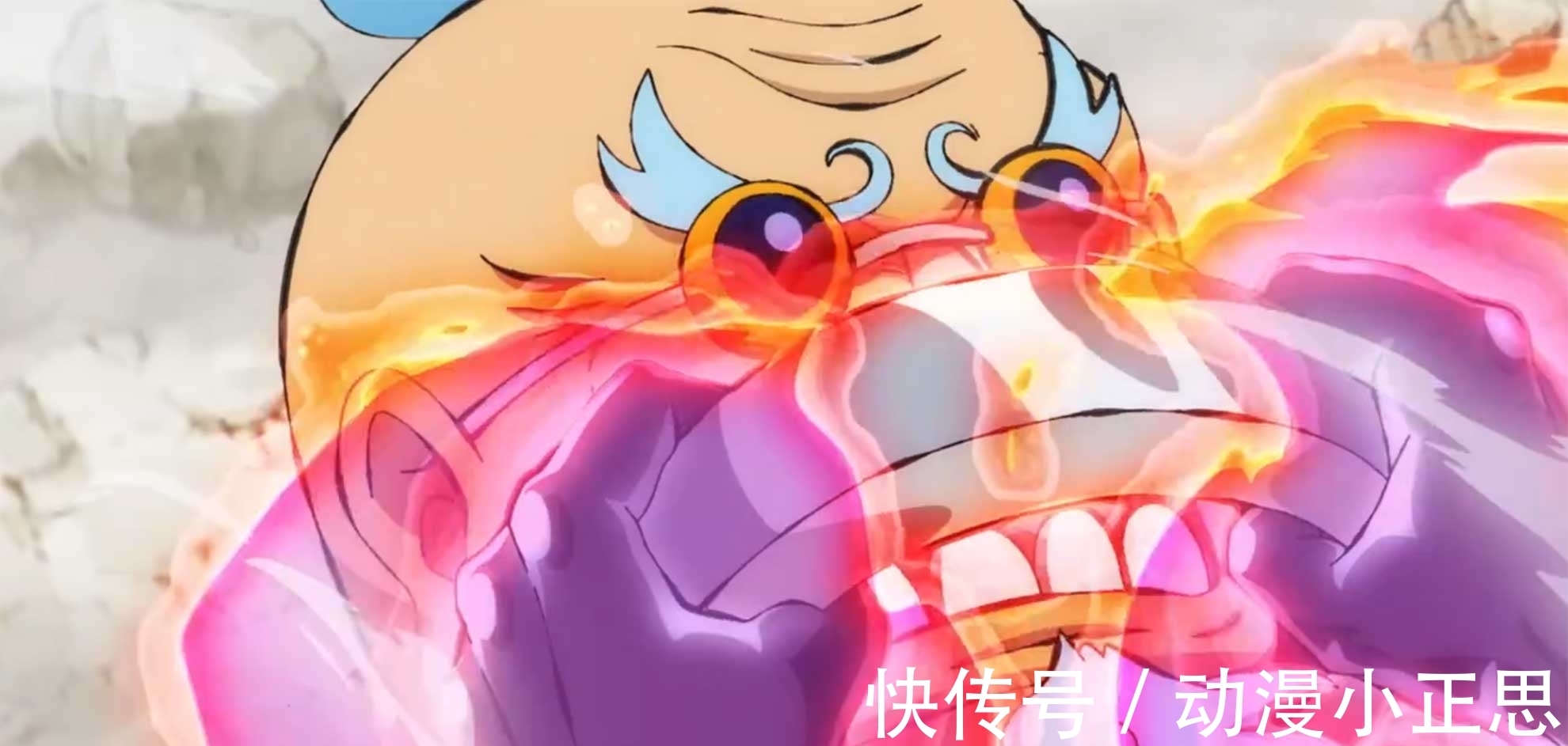 见闻色|了解了霸气的分类才知道,海贼王实力巅峰并不是恶魔果实能力