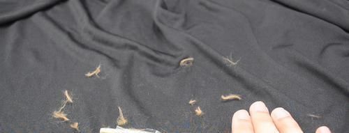 透明胶带上放一根筷子,真是厉害了,好多人还不清楚,都看看吧