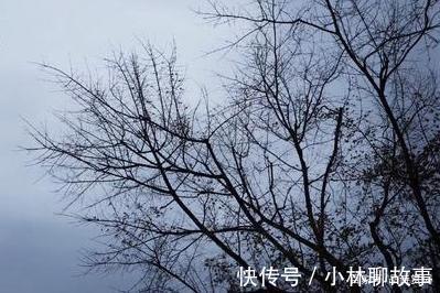 悲愁#李商隐很著名的两首五律,含蓄隽永,令人动容