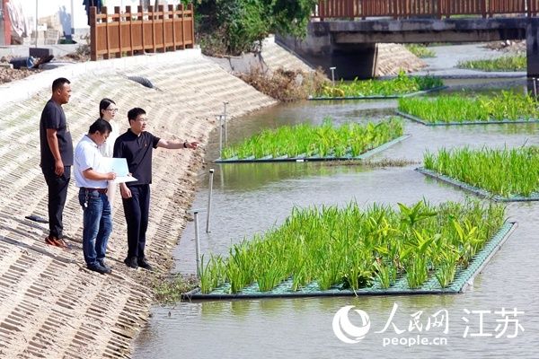 杨海燕|美丽连云宜居宜游 为民实事塑造“山海大公园”