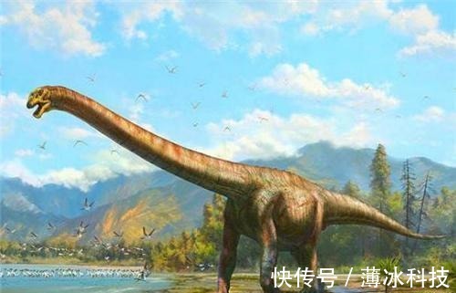 农家汉$他鱼塘挖到天价石头,专家:底下还有切记保密,他一守就是10年