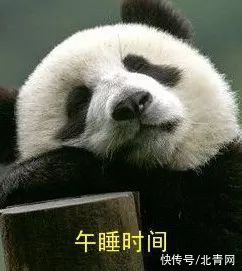 午觉|午睡虽好，但有个特大的坏处！2类人千万别午睡，尤其第一类人