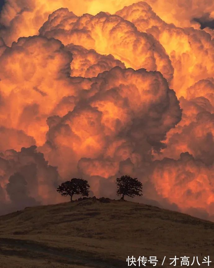 保持沉默@影响人生的五大定律,值得一读!