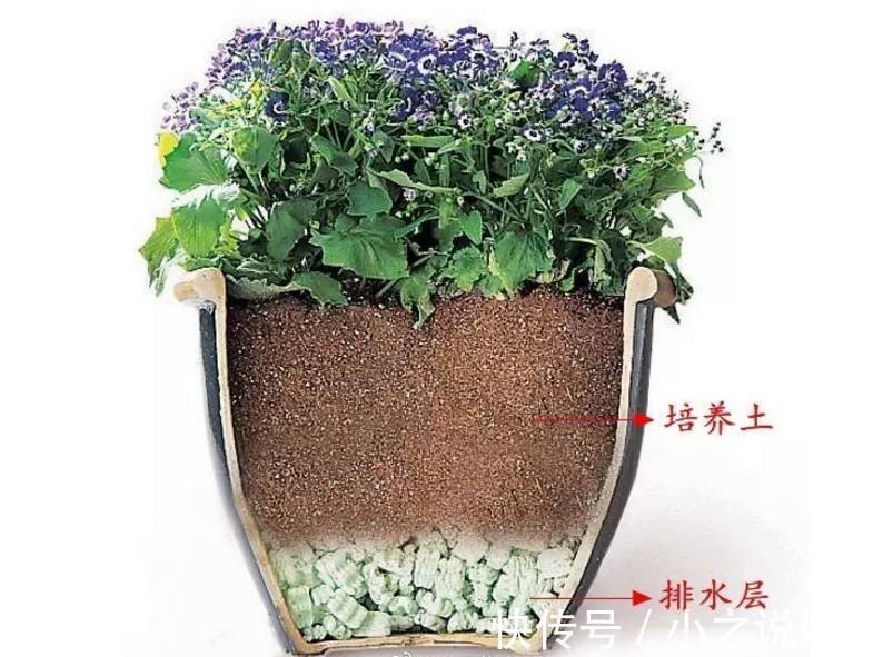 南酸北碱|不是什么土都能养花！30年老花农这样配土，网友发现细节有猫腻