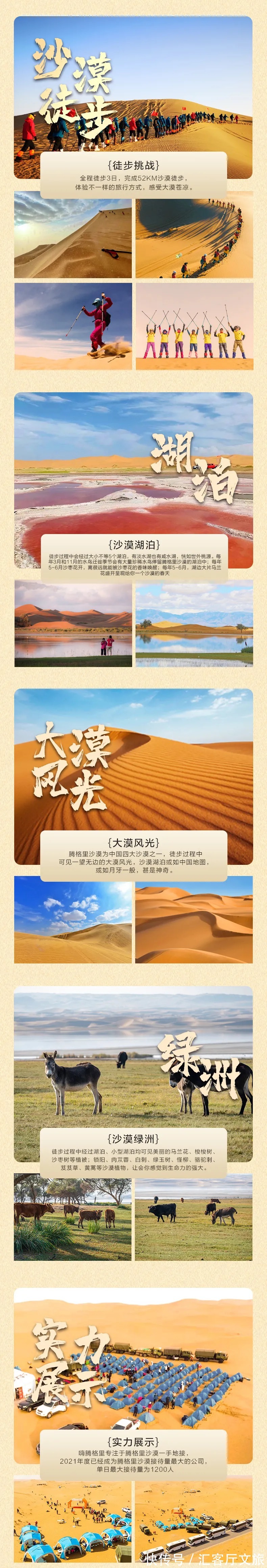 沙漠|除了黄沙漫天，腾格里的沙漠里还能干什么？