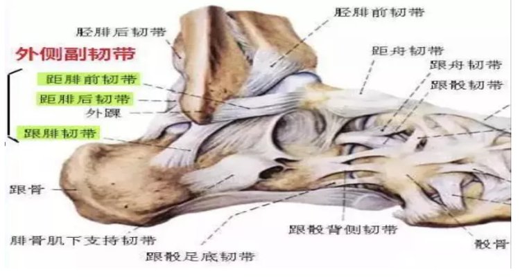 潍坊市中医院东院区康复中心|踝关节反复扭伤怎么办？潍坊市中医院东院区康复中心来支招