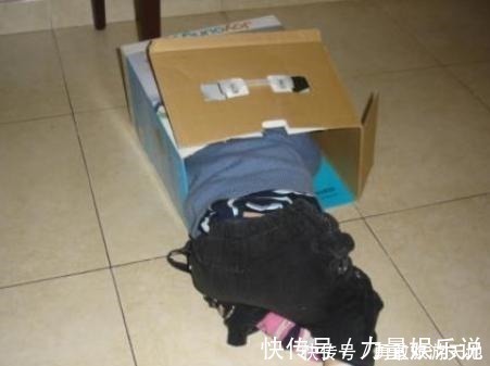 育儿|孩子小时候爱做这几件“怪事”,恭喜你,有一个大脑发达的孩子