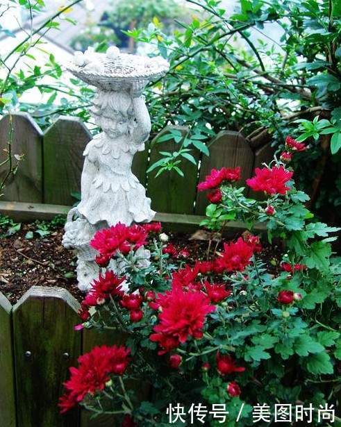 50㎡露台打造“空中花园”，每天看着精心培育的花儿，惬意啊！