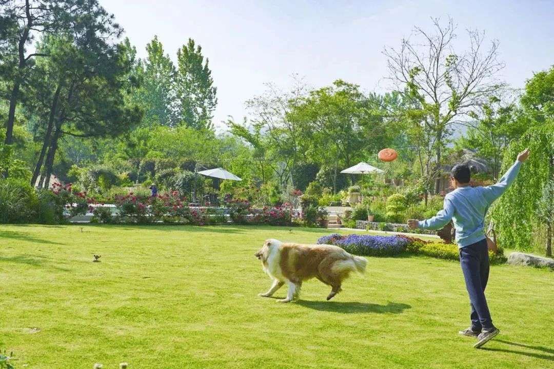 福建小哥租下一片海，造600㎡漂浮大平层：与世隔绝是最大享受