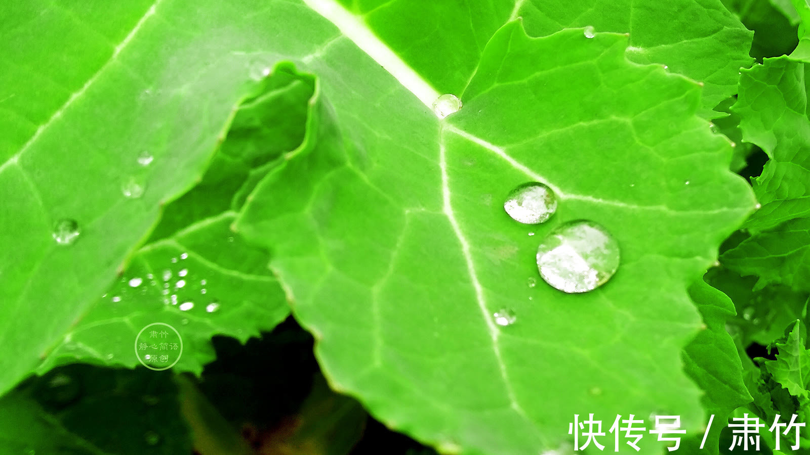 哲理$将热情在雨中沉静，便懂得关于爱的哲理