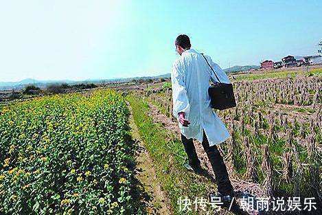 简明中医皮肤病学|10年灰指甲，用一味中药“泡好”了！中医魅力就在于此