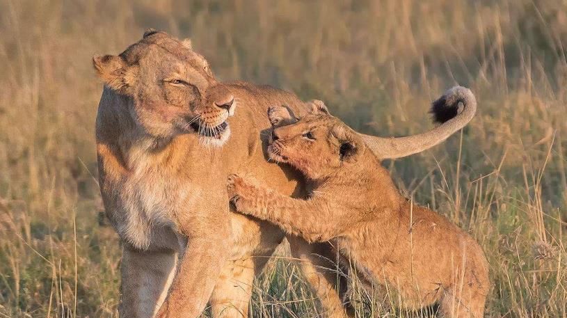 时时|平安是福,时时平凡心,人生好无限!