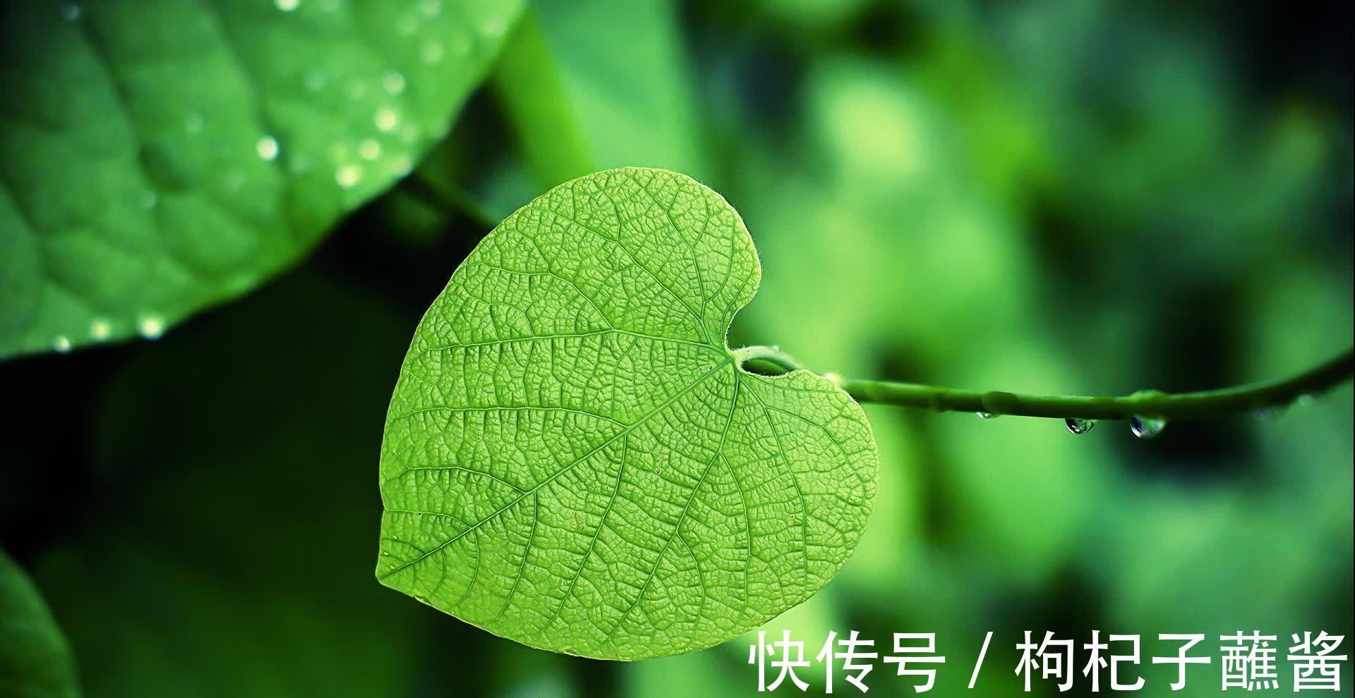 农夫与蛇|做人要厚道,但是对待三种人要刻薄,不能心软