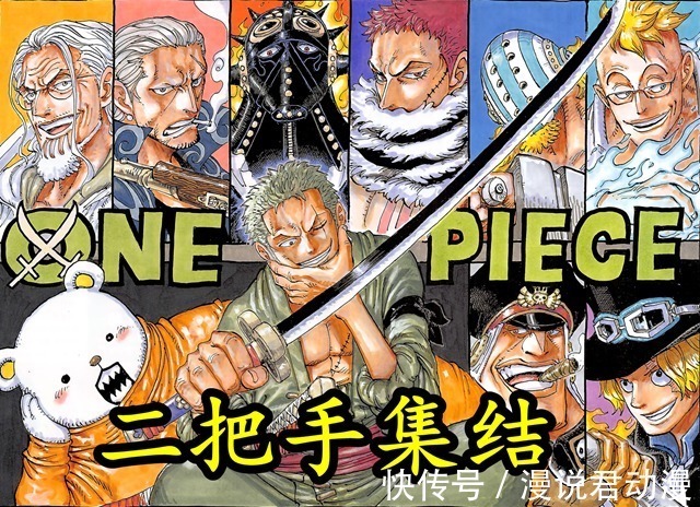 黑胡子海贼团|海贼王:10大海贼团二把手官宣,希留、贝波的上榜让人意外