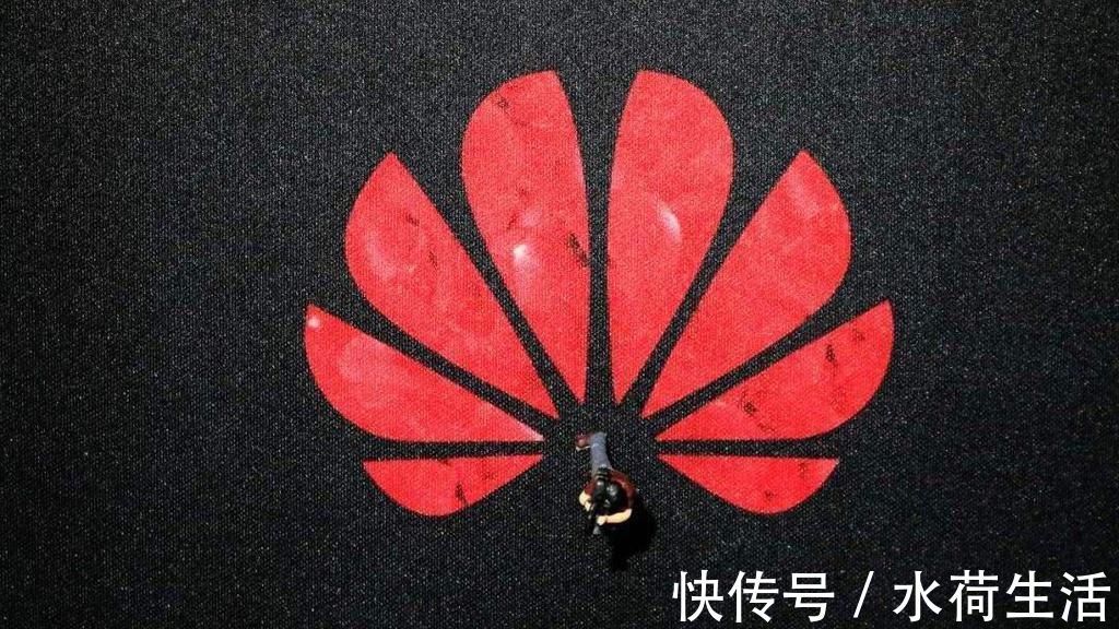 美国|华为打出2张“王牌”,美国开始找台阶下了?