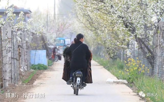 快乐老家：难忘醉美泗水梨园春