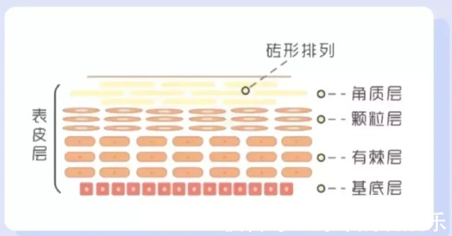 补水 护肤界7大骗局，看看你是不是，也交过智商税！