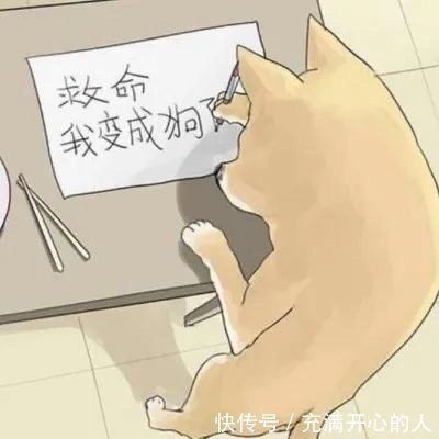 |搞笑表情包来啦