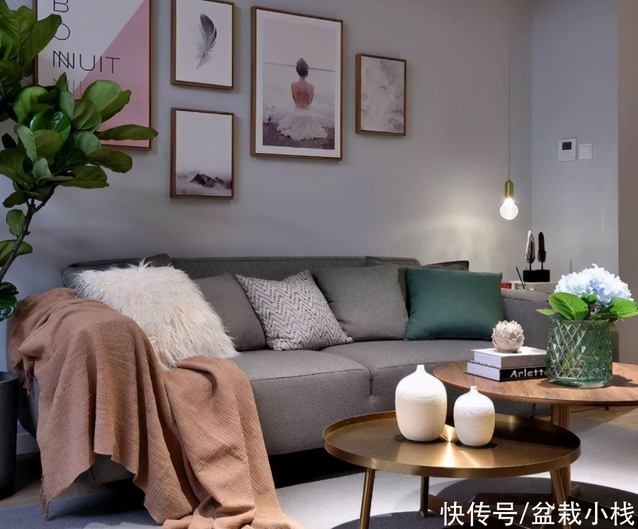 无论客厅大小，建议每个养花人，养上3种花卉，好看美观寓意棒