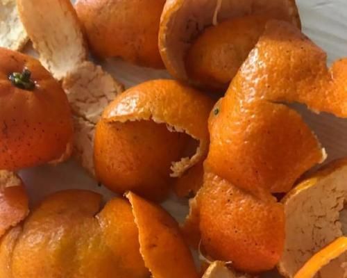 土壤|盆栽土干裂甭急着换,1周喂1次它,1个月就变松,养啥爆啥