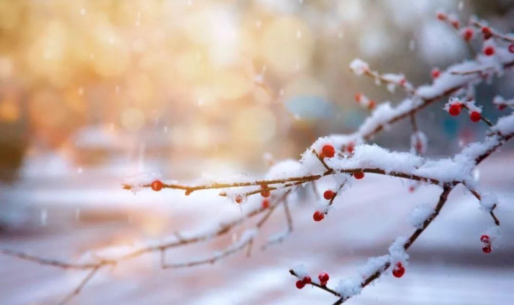  咏雪|这10首咏雪诗词，不带一个雪字，却写尽雪之美！