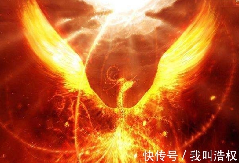 姬姓&中国每个姓氏都有专属图腾,你的姓是什么?看看你的保护神长啥样