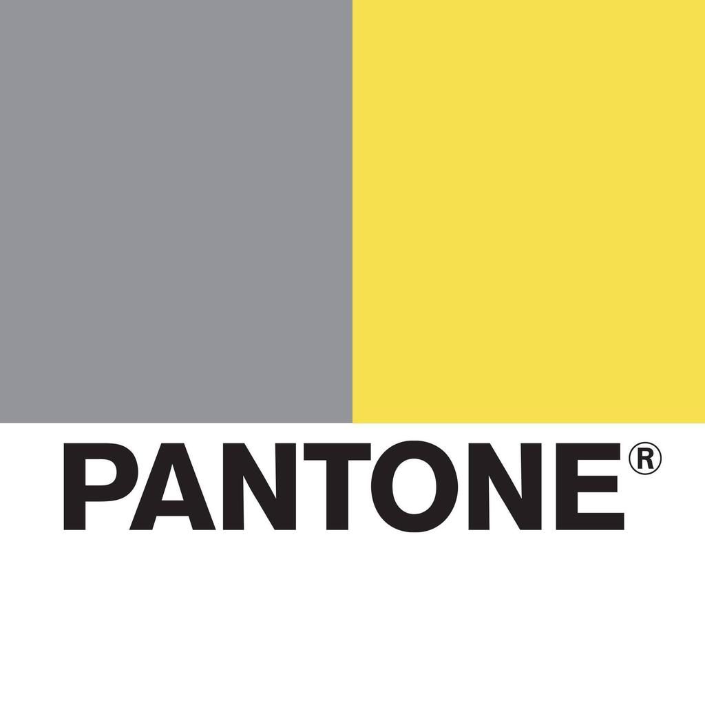  亮丽|PANTONE2021年度代表色！极致灰和亮丽黄合一起有深意