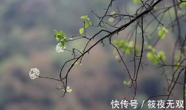 水星|天秤座和天蝎座一周运势详解（2022年1月31日-2月6日）