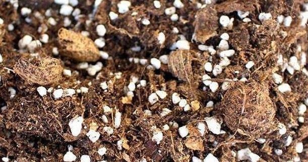 以下东西不要扔了,土里拌一些,养花效果好,改善土壤!