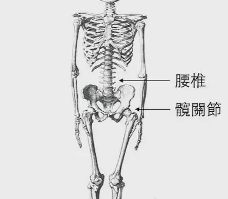 关节|健身动作不规划,小心效果适得其反!