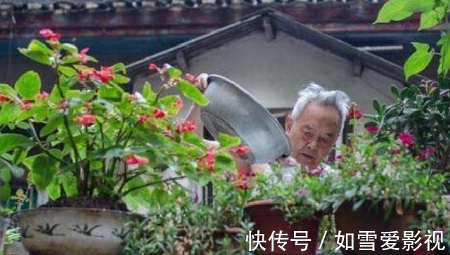 腐熟|张大爷养花,用“2种水”轮流浇,没想到,1年养出漂亮“小花园”