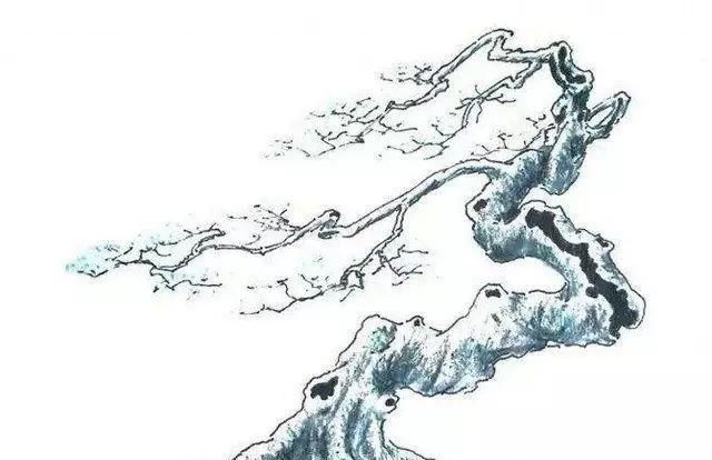 韵味|值得收藏的盆景设计图,别有韵味