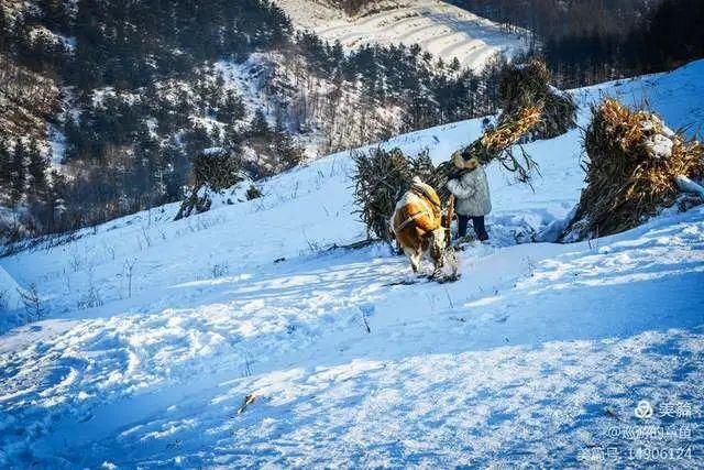 童话|冰天雪地，童话吉林