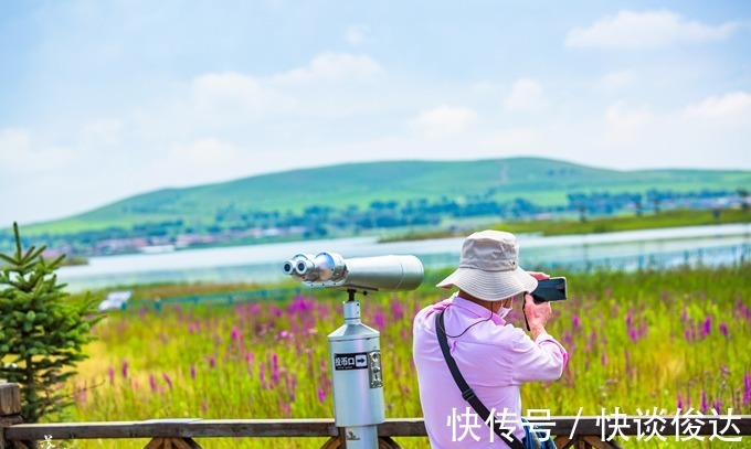 白鹭|张家口沽源有一处观鸟园，环境优美，空气好，被誉为鸟儿的天堂