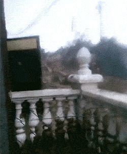 |搞笑GIF趣图:老婆,咋还能生出两个黑的来?你解释一下