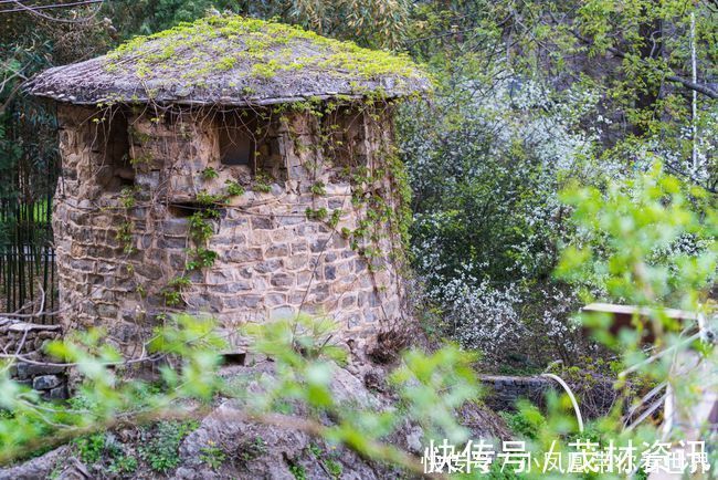 沕沕水|太行山脉有一处婉约江南的秘境，此地泉水潺潺，悬空瀑布经年不歇