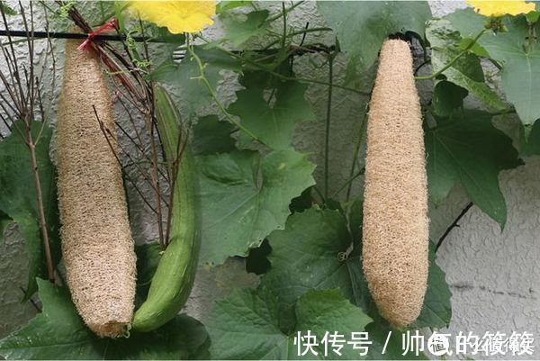 pps|家里的这4样东西迟早会被时代淘汰,别心疼,该扔就扔,该换就换!