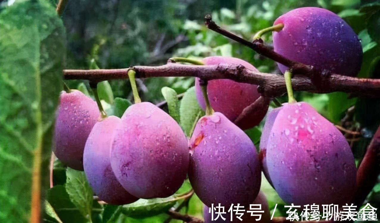 维生素c|很有营养的3种食物,学会吃一些,补充营养,好处多多